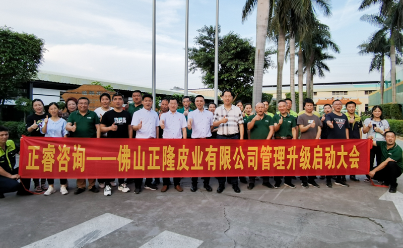 助力皮革行業(yè)再樹(shù)標(biāo)桿——正隆皮業(yè)全面管理升級(jí)項(xiàng)目啟動(dòng)！